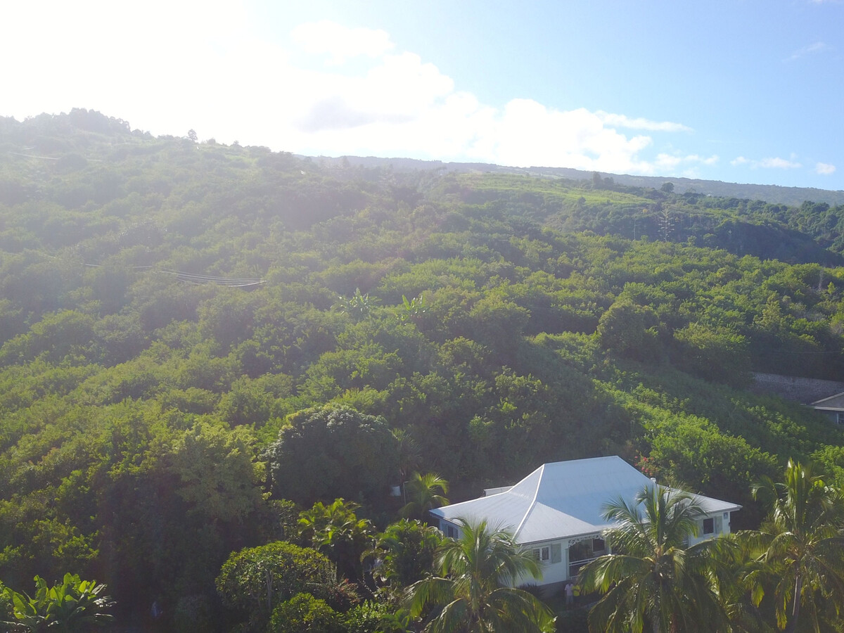 Le Balcon Créole - Gîte 6 pers. à 600 m, vue baie - Photo 15