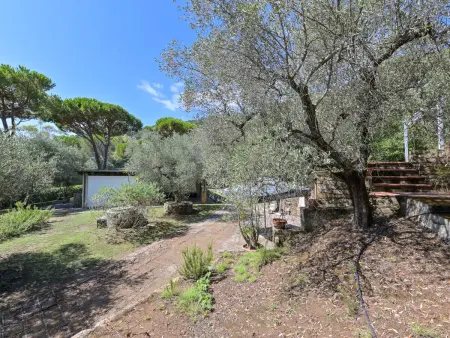 Villa Anna – Maison 10 pers. vue mer à Castiglione - Photo 36