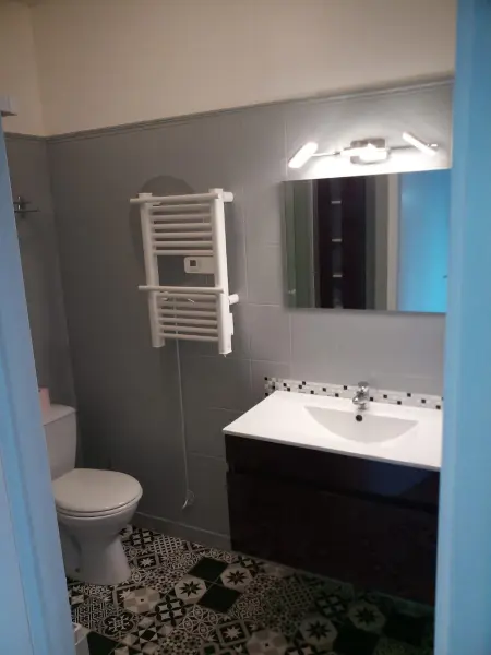 Studio 27 m² vue montagne et parking à Gérardmer : photo 6
