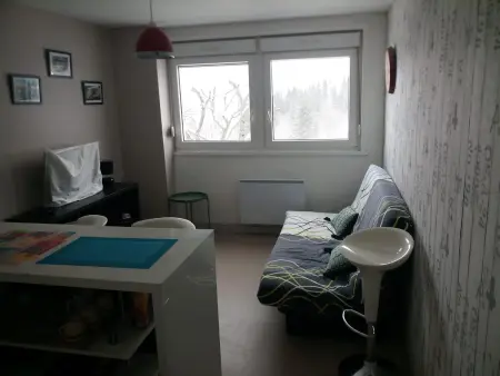 Studio 27 m² vue montagne et parking à Gérardmer : photo 22
