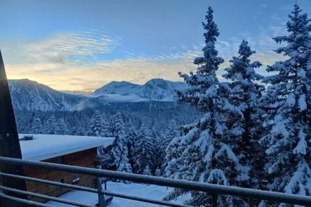 Chalet 40 m² vue montagne à Chamrousse : photo 4