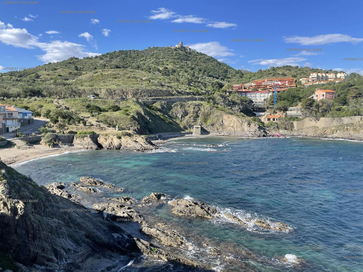 T1 rénové face à la mer à Collioure, parking privé - Photo 12