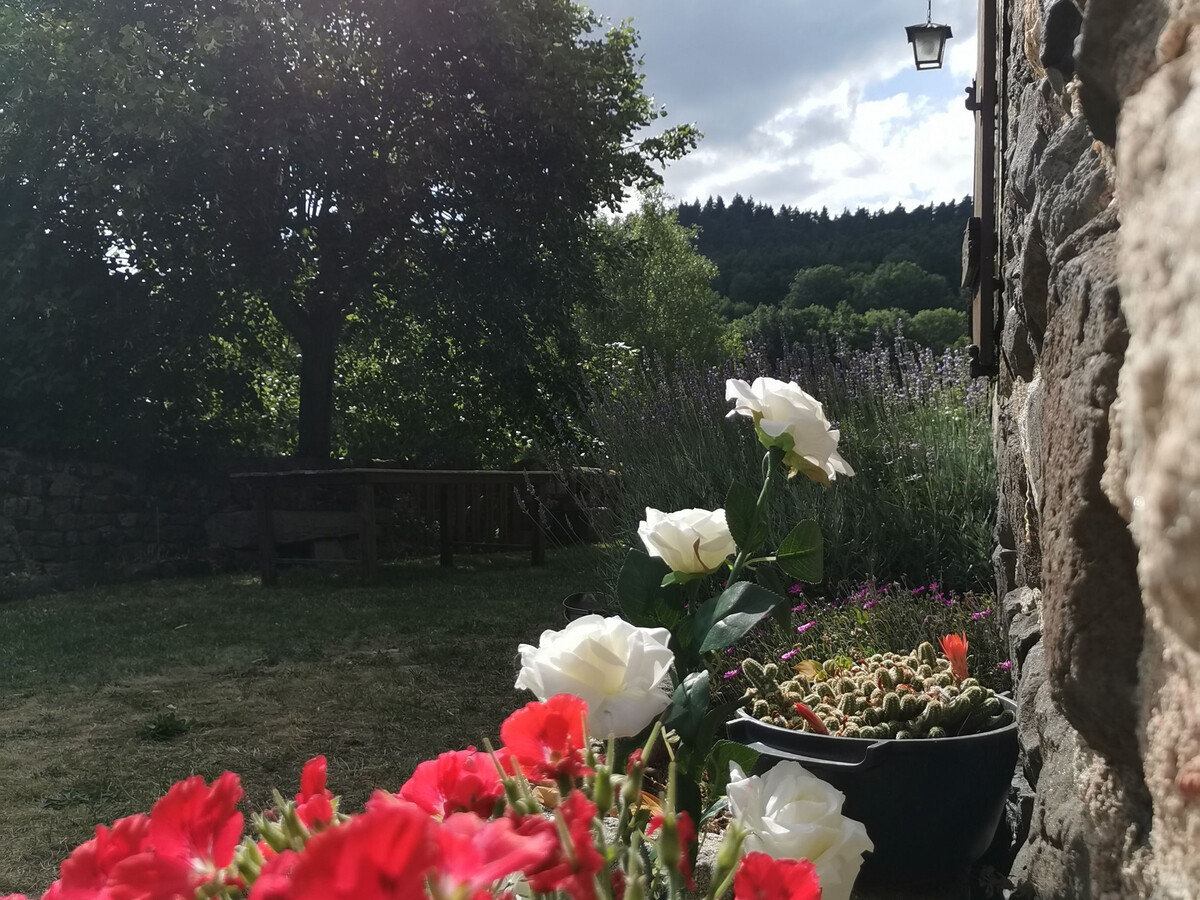 La Maison de Rosa, gîte familial à Rosières - Photo 32