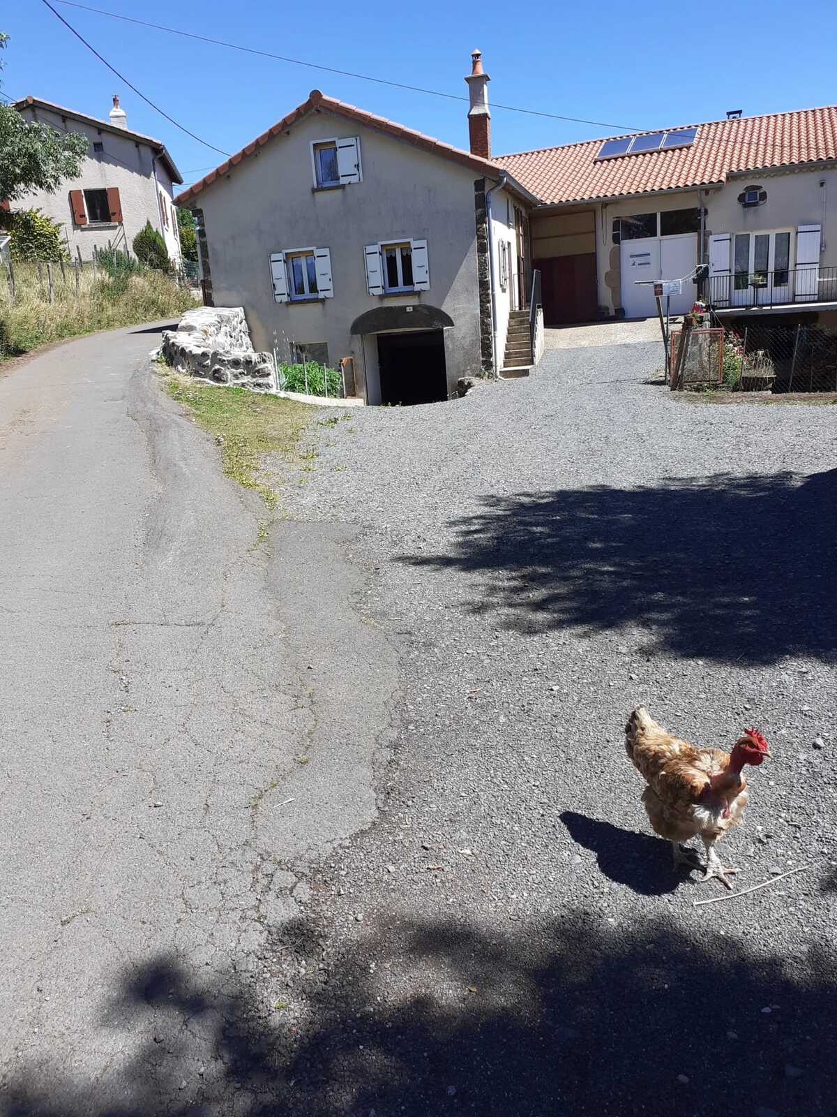 Maison 55 m² avec cheminée et jardin à Landos - Photo 29