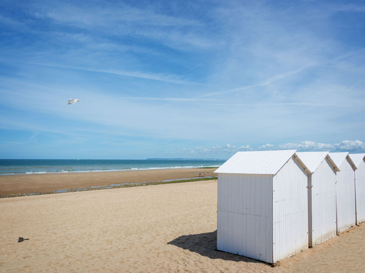 Apt 2 pièces Villers-sur-Mer, 300 m de la plage - Photo 19