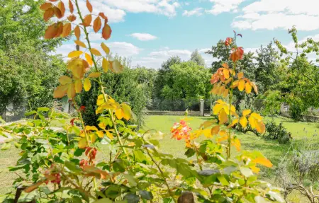 Maison au bord de la Marne à Jaulgonne : photo 14