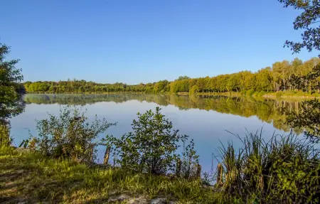 Maison au bord de la Marne à Jaulgonne : photo 30