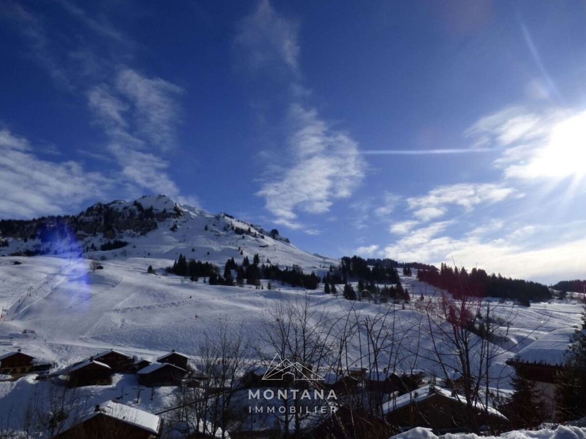 Appart. 2 pièces + coin montagne, vue pistes - Le Grand-Bornand - Photo 11