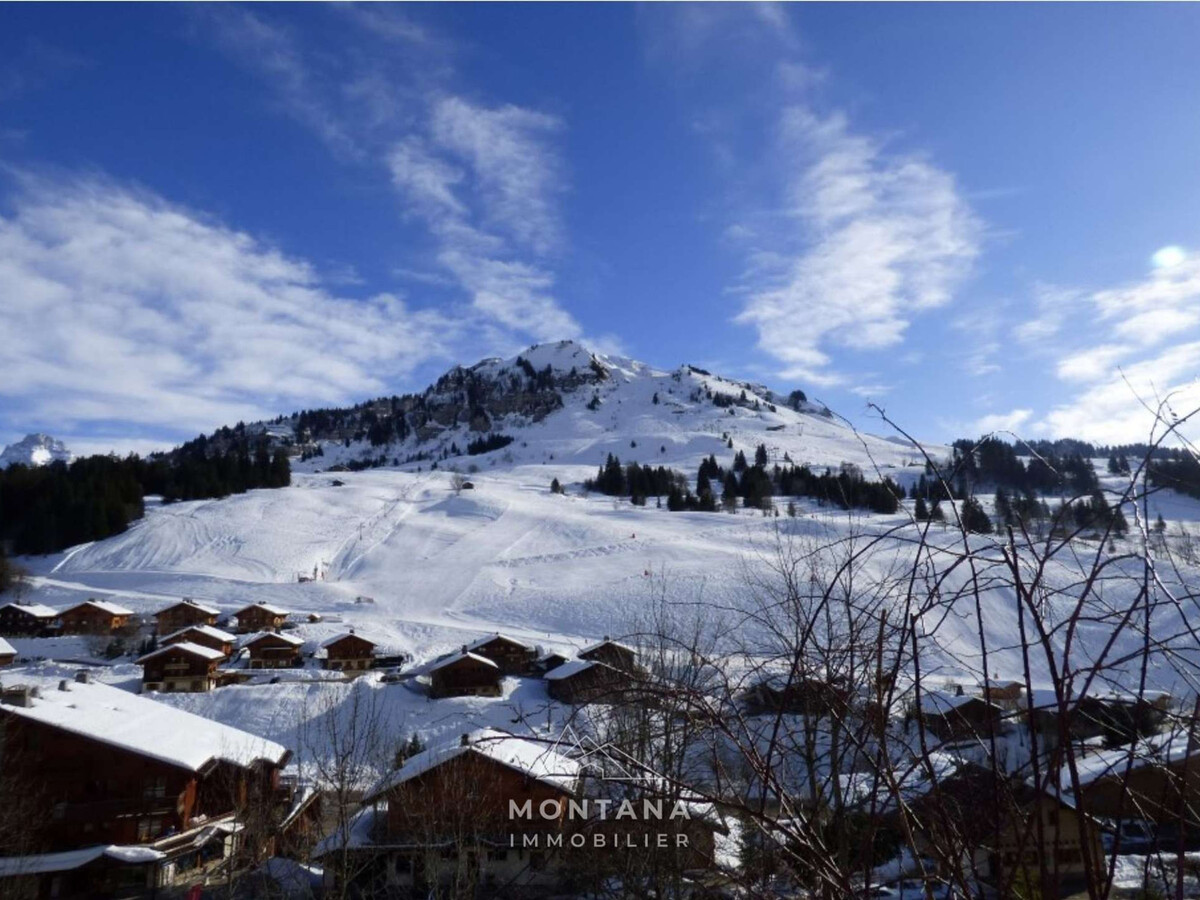 Appart. 2 pièces + coin montagne, vue pistes - Le Grand-Bornand - Photo 12