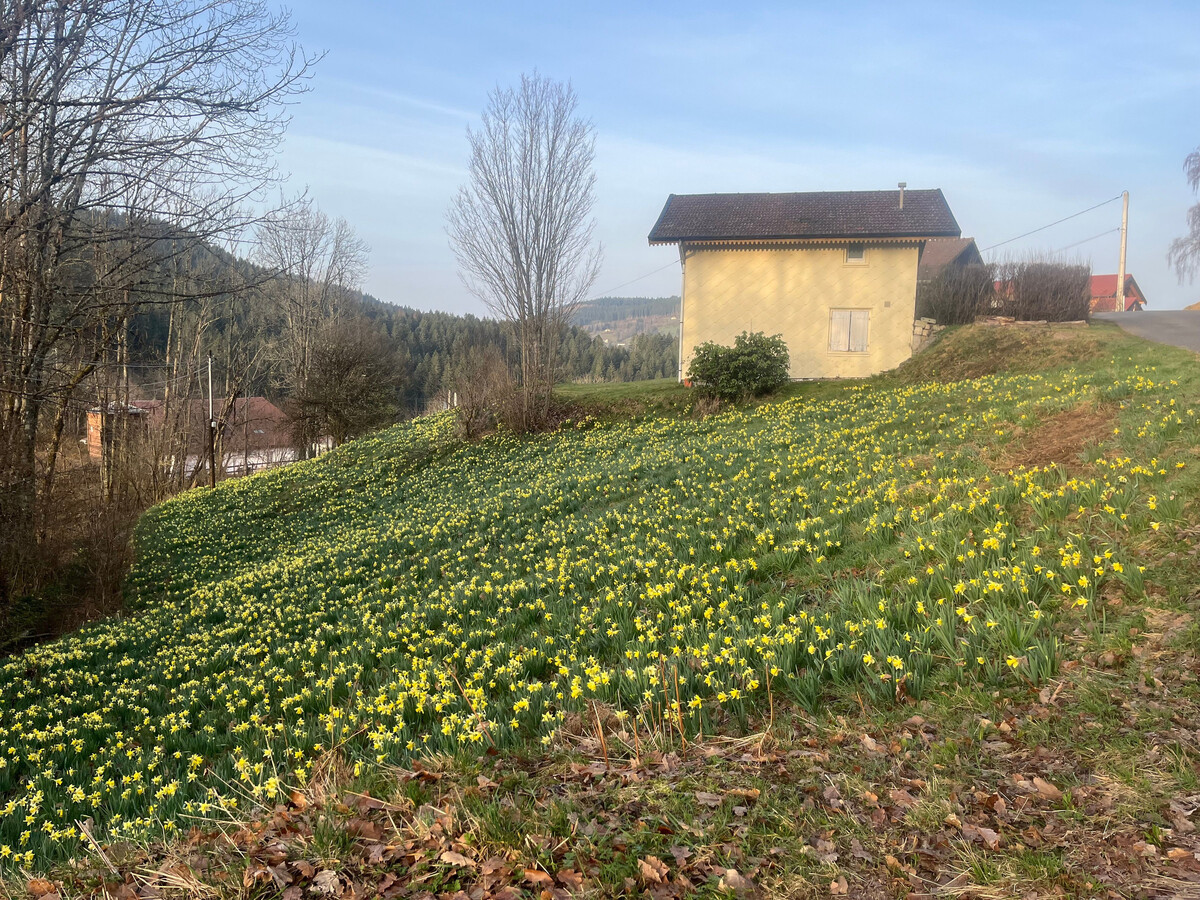 Gîte 4 pers à Gérardmer, rénové 2025, terrasse vue montagne - Photo 27