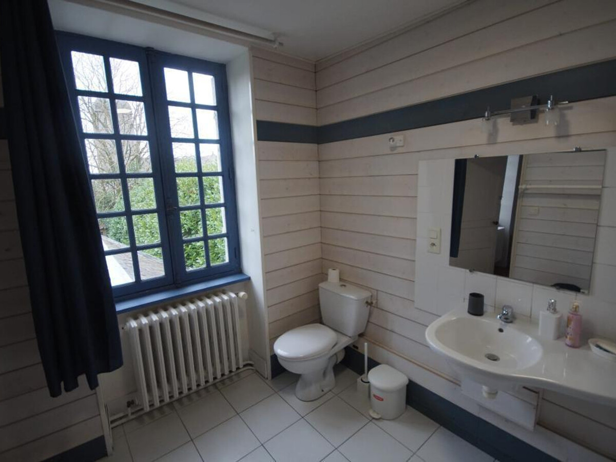 Gîte 12 personnes à Bacilly, demeure historique avec jardin clos - Photo 16