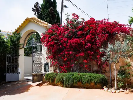 Villa Can Gamundí, 4 chambres avec piscine et salle de sport à Palma : photo 2