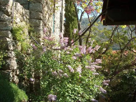 Maison charmante à Valleraugue avec piscine partagée. - Photo 16