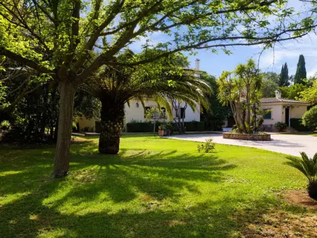 Villa rustique avec 5 chambres et piscine à Santa María - Photo 3