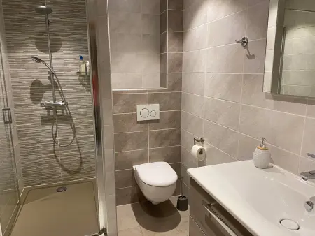 Chalet 8 pers Valloire, terrasse sud, garage et parking : photo 9