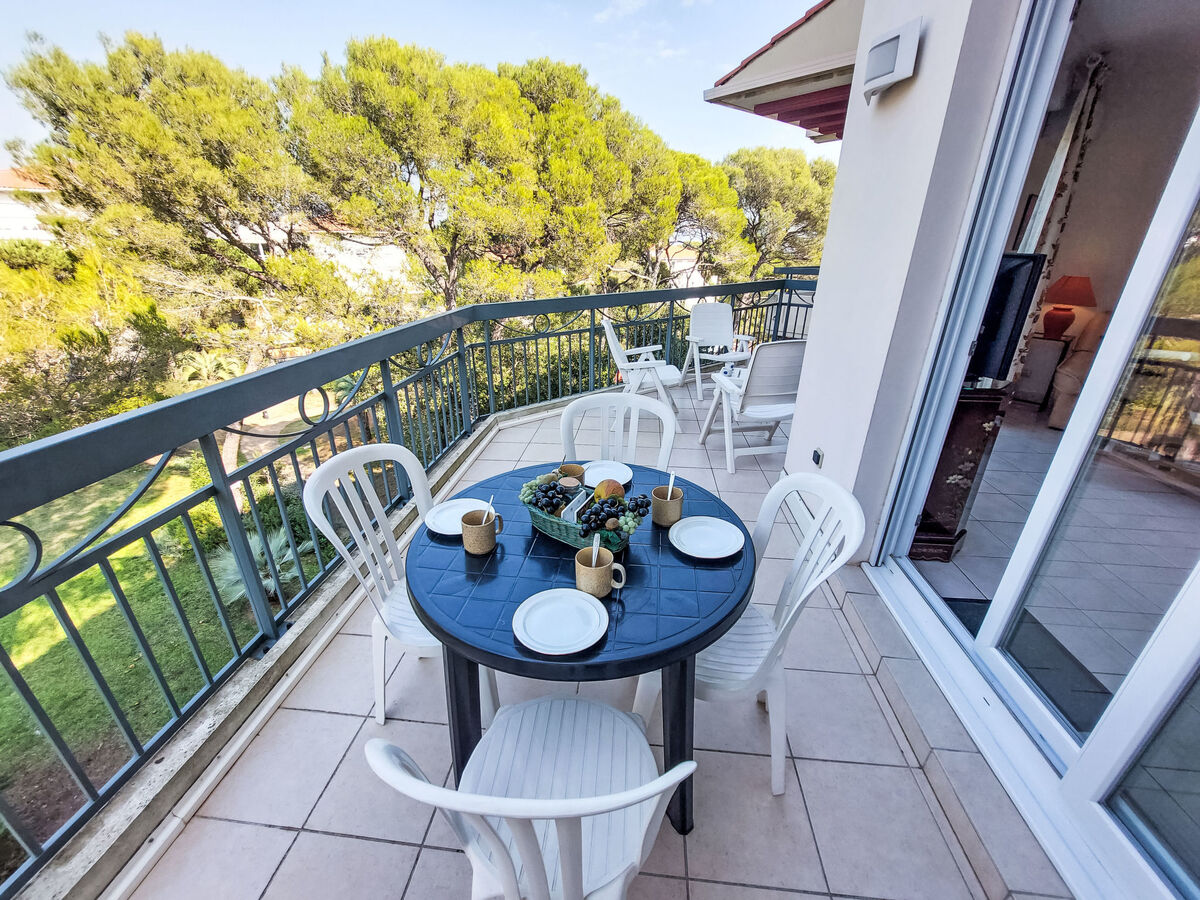Apt 2p 48m² Le Grand Parc - 250m de la mer - Photo 3