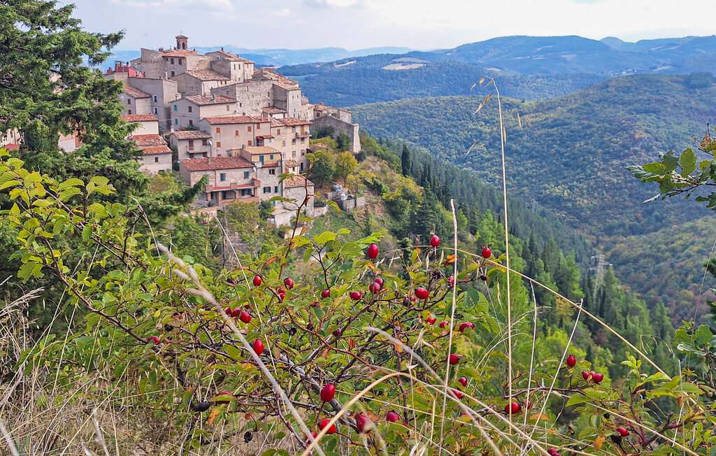 Maison 4 personnes à Castelletta - Photo 11