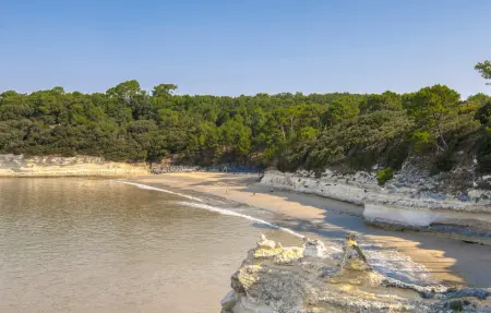 Maison face à la plage à Meschers-sur-Gironde : photo 27