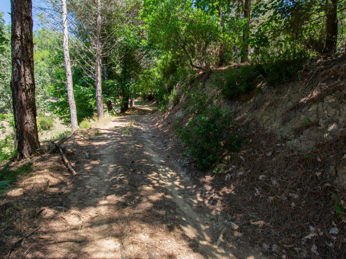 Rifugio di Igor – Chalet rénové 2025 à Montecatini - Photo 28