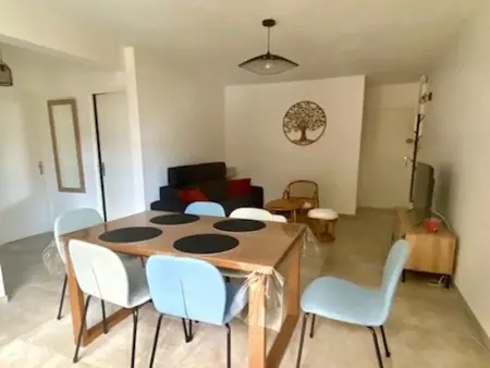 F3 balcon 57 m² pour 6 personnes à Amélie-les-Bains : photo 2