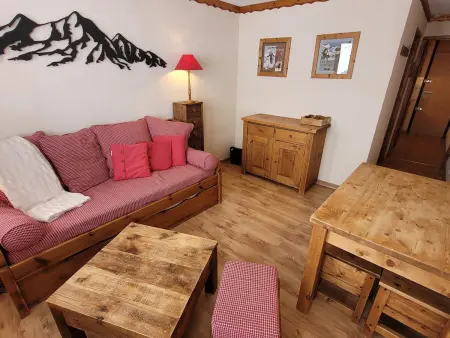 Studio cabine 26 m² ski aux pieds, vue pistes : photo 2