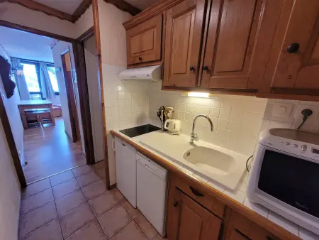 Studio cabine 26 m² ski aux pieds, vue pistes : photo 3