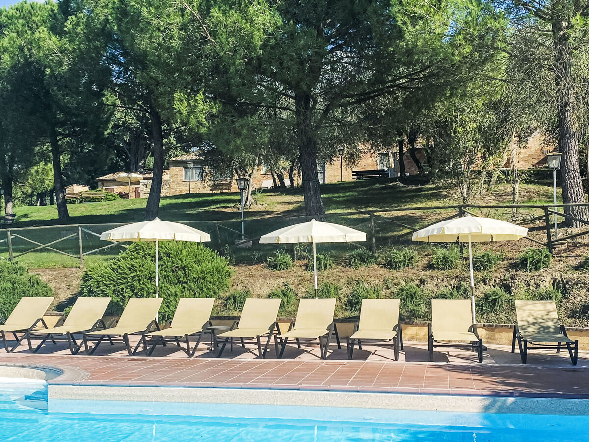 Asciano, gîte 2 chambres avec vue panoramique à Montalcino - Photo 30