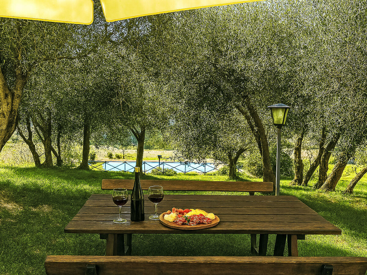 Monteroni, gîte 2 chambres avec vue panoramique à Montalcino - Photo 6