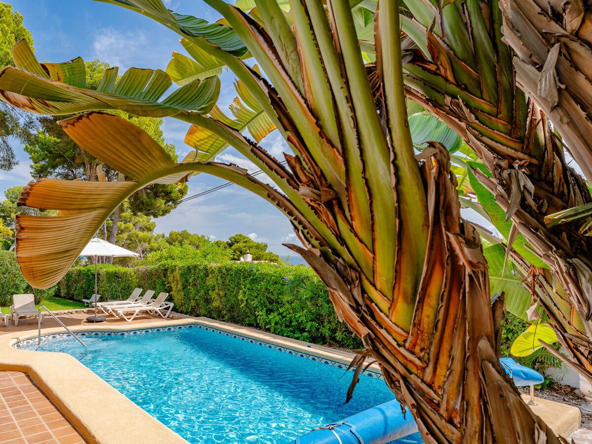 Maison Flor de la Neu – piscine privée à Javea - Photo 48
