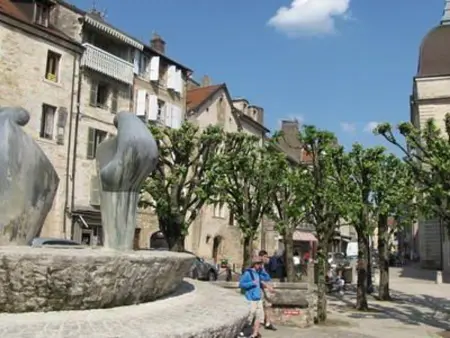 Appartement charmant au cœur de Vesoul avec parking privé - Photo 27