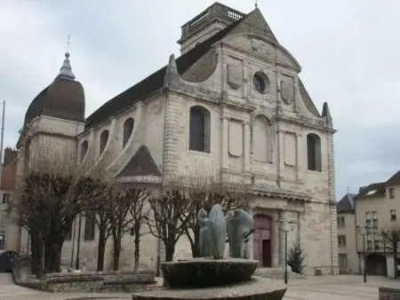 Appartement charmant au cœur de Vesoul avec parking privé - Photo 29