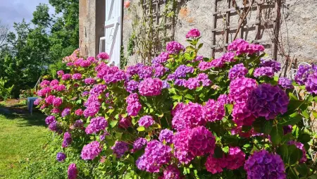 Villa 3 chambres à Saint-Cirgues-de-Malbert avec piscine - Photo 42