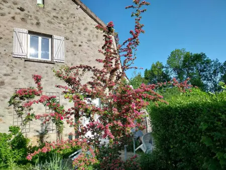 Villa 3 chambres à Saint-Cirgues-de-Malbert avec piscine - Photo 43