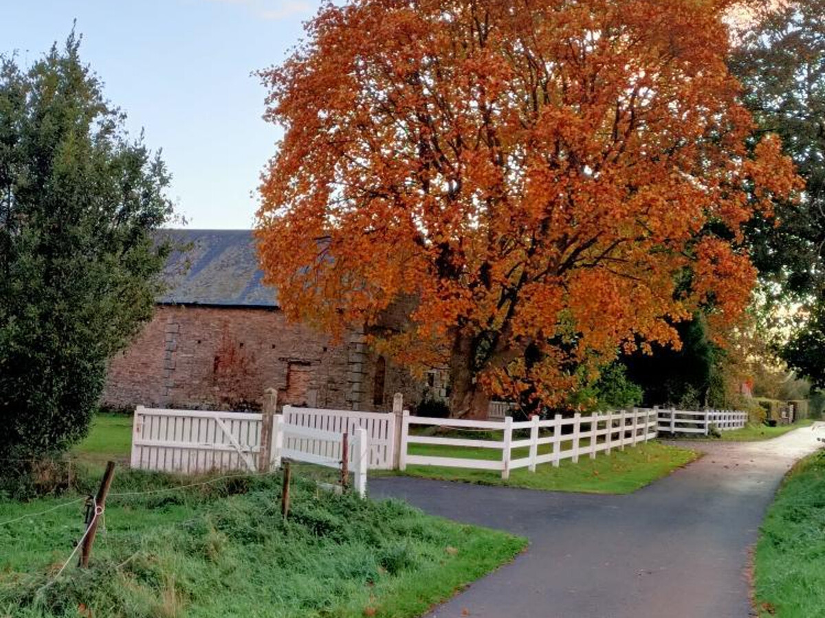 Gîte rural 3 pers. avec jardin clos à Hauteville-la-Guichard - Photo 17