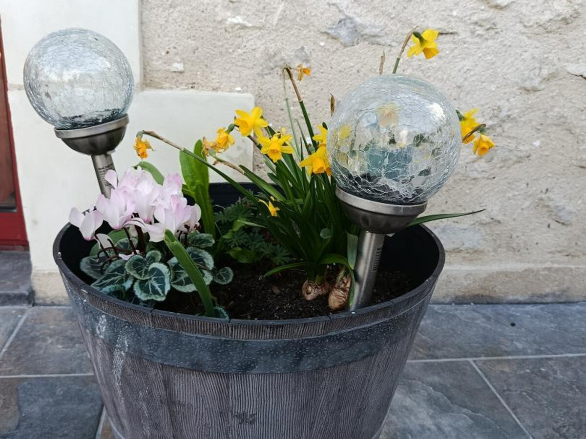 Gîte rénové 2025 avec terrasse à Azay-sur-Cher - Photo 31