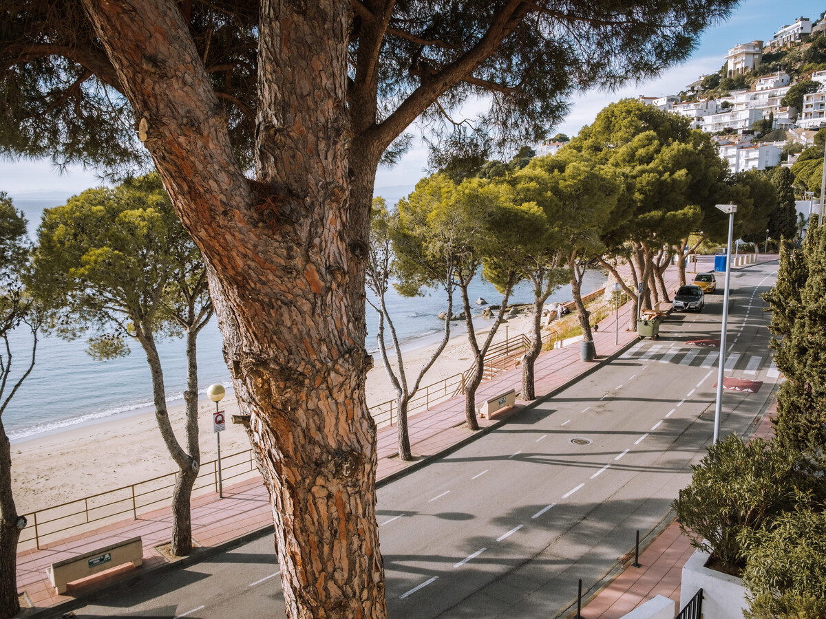 Appartement 4 pers. vue baie à Roses, 1 min plage - Photo 13