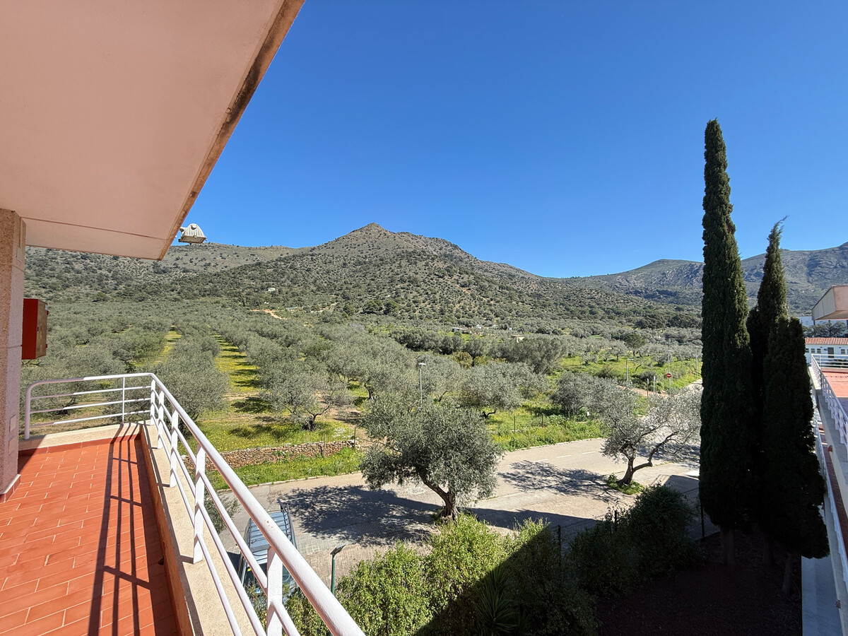 Appartement 4 pers. Mas Oliva - Piscine & jardin - Photo 17