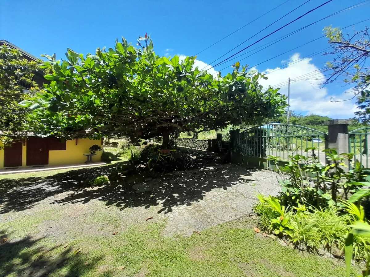 Appartement 180 m² piscine privée à Deshaies - Photo 12