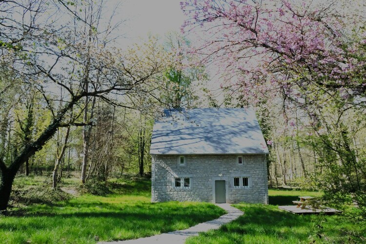 Maison du Régisseur à Gesves avec parc et étang - Photo 16