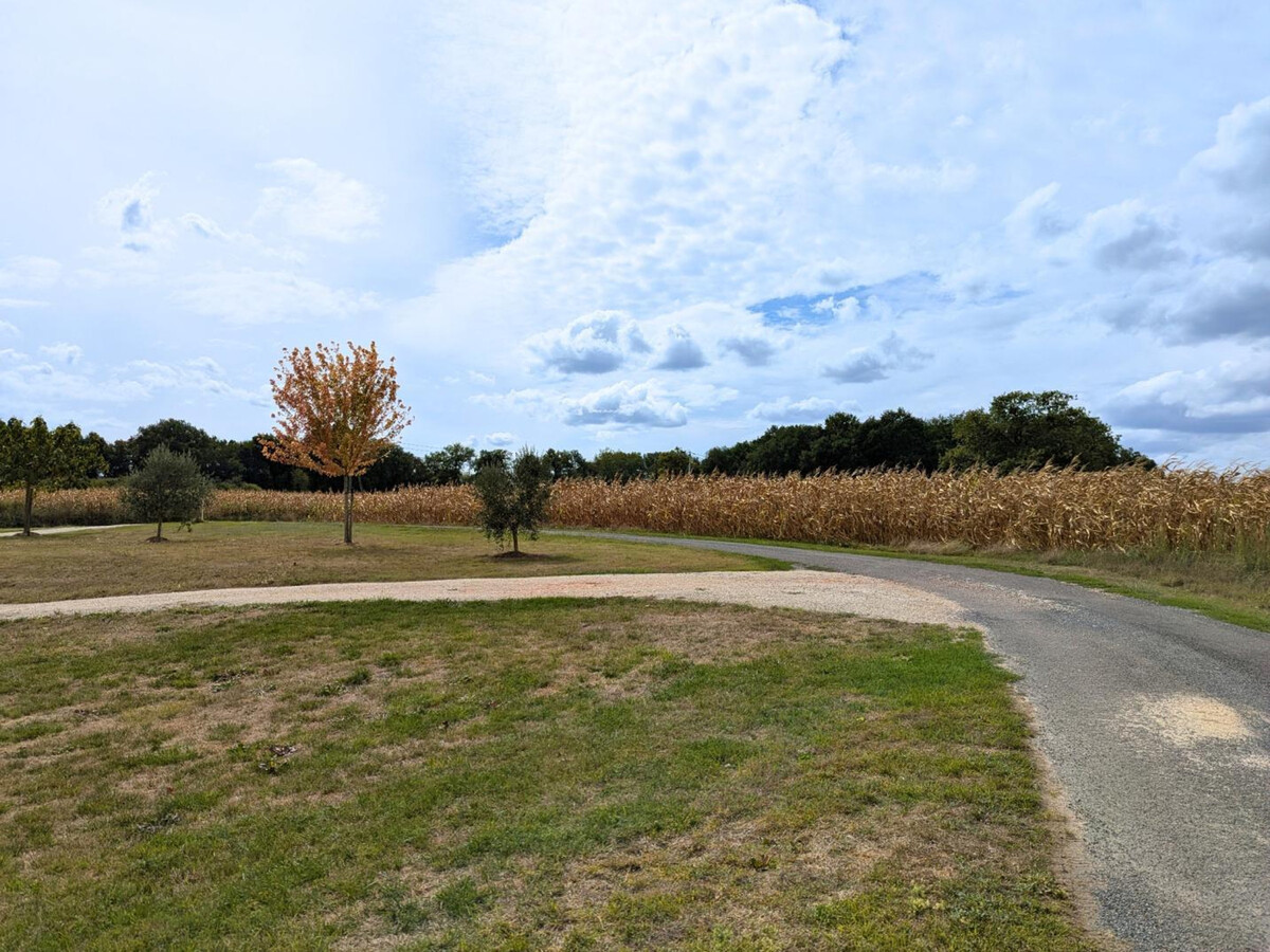 Gîte charentais rénové, 6 pers., jardin et parking - Photo 35
