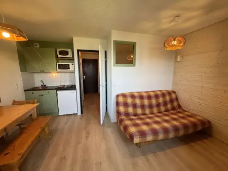 Appartement 2 pièces lumineux avec vue Écrins à Auris : photo 2