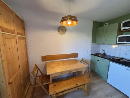 Appartement 2 pièces lumineux avec vue Écrins à Auris : photo 4