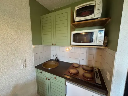 Appartement 2 pièces lumineux avec vue Écrins à Auris : photo 5