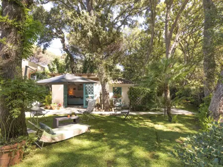La casina nel bosco – Chalet 35 m² en forêt : photo 11