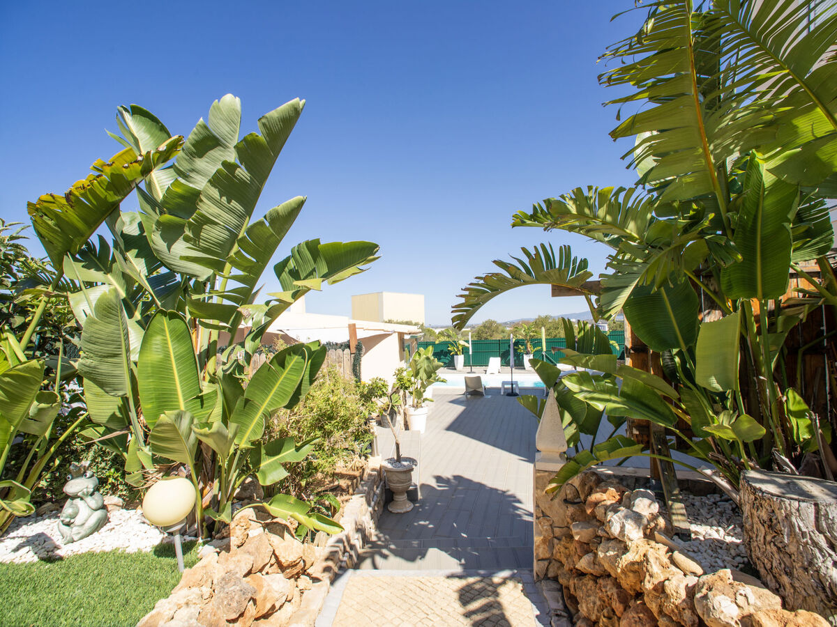 Appartement Bela Vista - Lagoa, vue montagnes et piscine - Photo 26