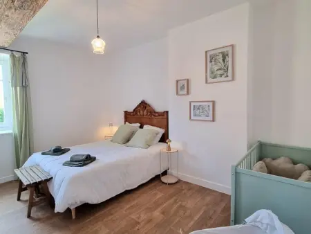 Gîte Marguerite 6 pers. à Saint-Haon-le-Châtel, animaux : photo 23
