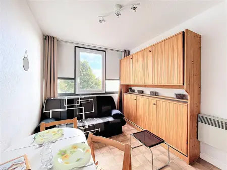 Studio 16m² skis aux pieds - Le Corbier : photo 2