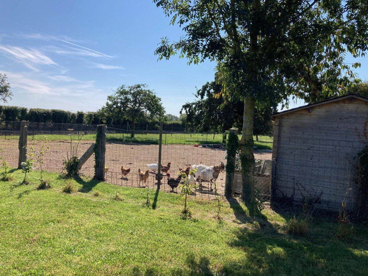 Gîte fermier en pierre avec jardin à Quettreville-sur-Sienne - Photo 18