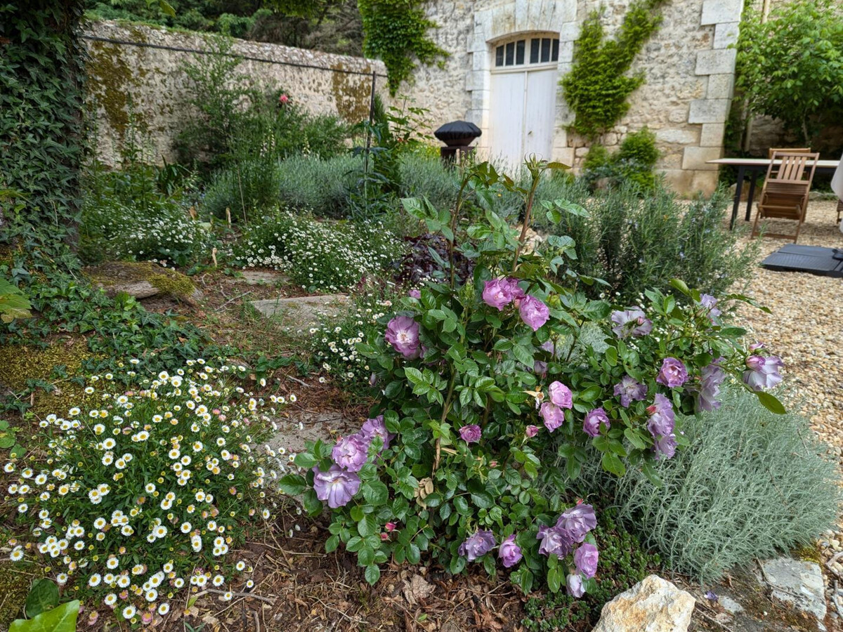 Gîte 5 pers avec piscine chauffée et jardin 7 ha - Photo 35