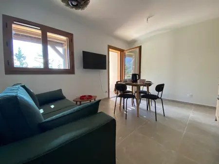 Appartement 2 ch + cabine vue vallée, terrasse 17 m² : photo 4
